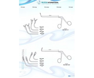 Rhinology 